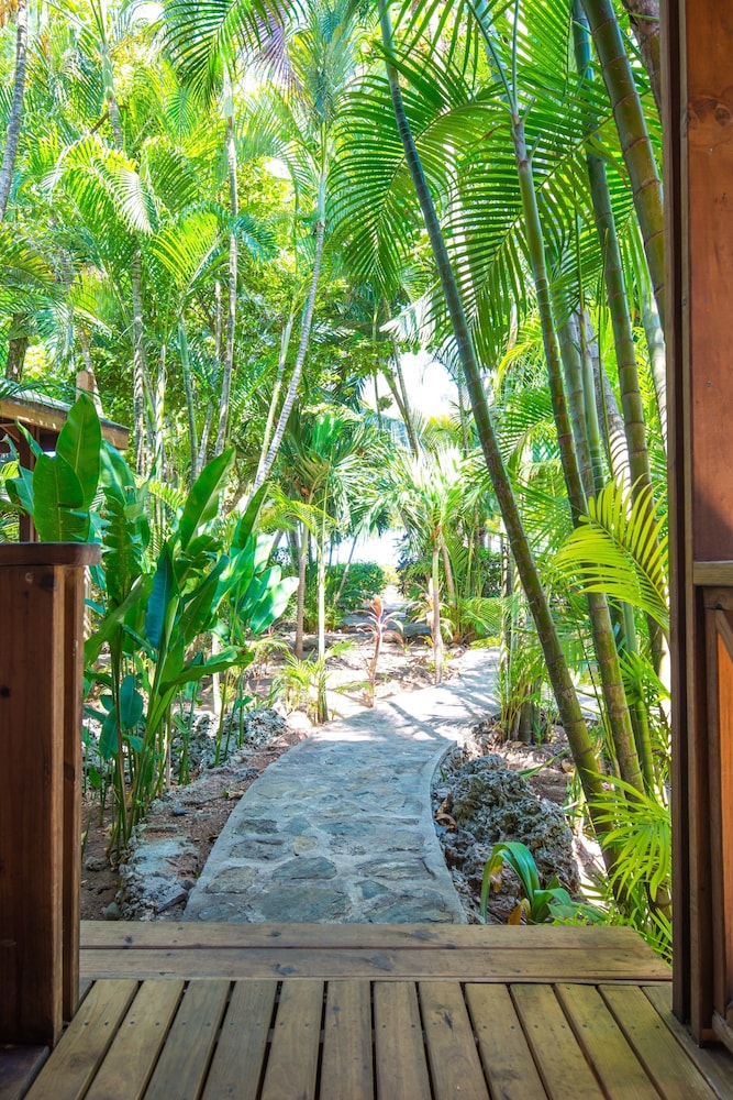 Las Rocas Resort And Dive Center 60/63