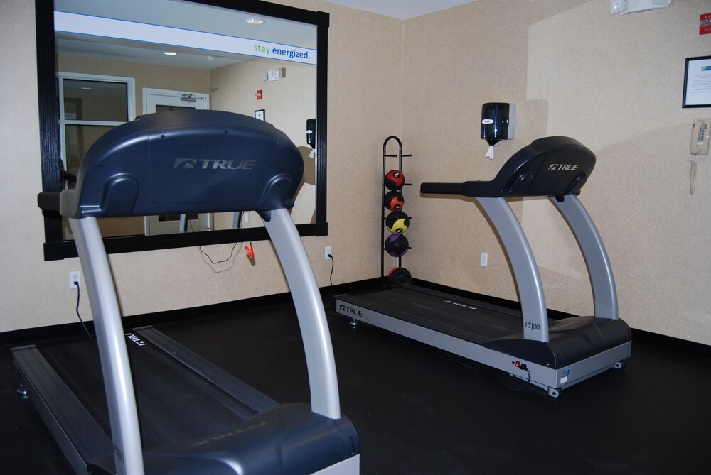 Holiday Inn Express Hotel Suites Auburn Hills 45/65