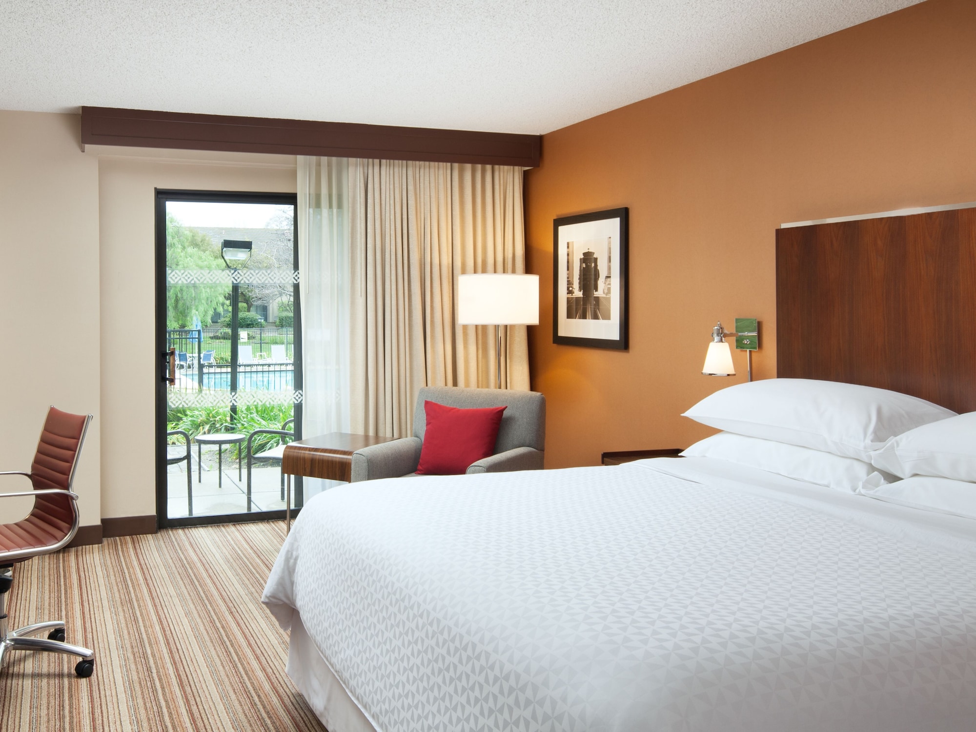 Room at Four Points by Sheraton Pleasanton, PLEASANTON - CA