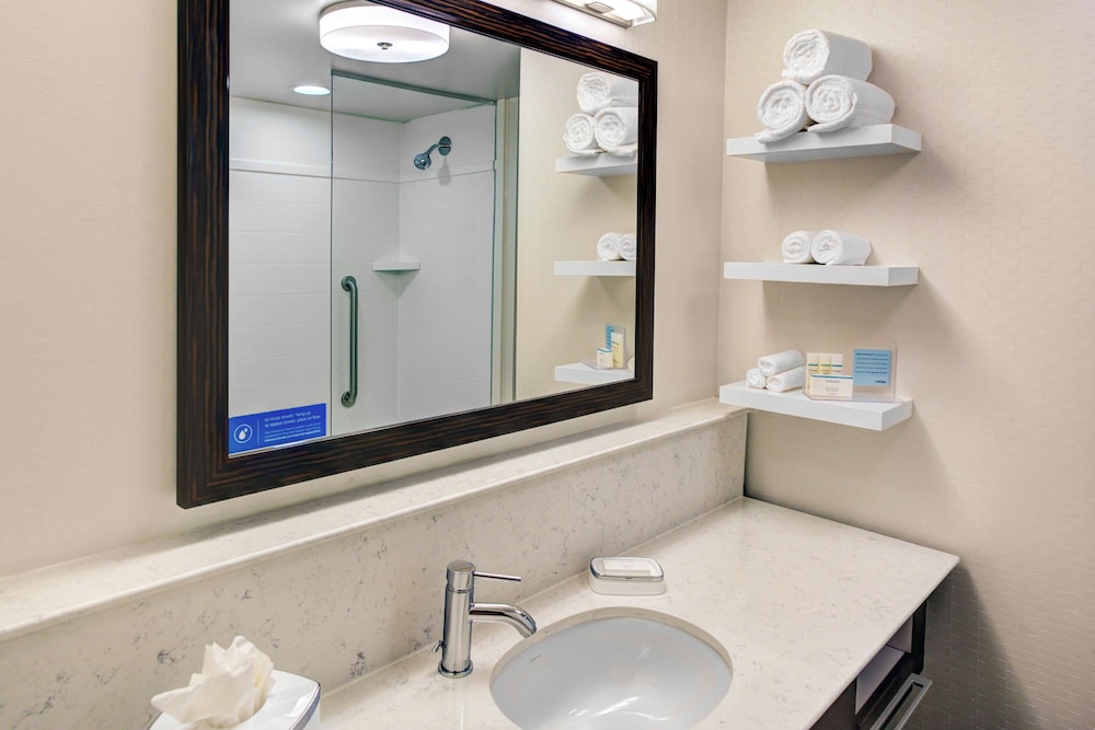Hampton Inn & Suites By Hilton Atlanta Perimeter Dunwoody 17/41