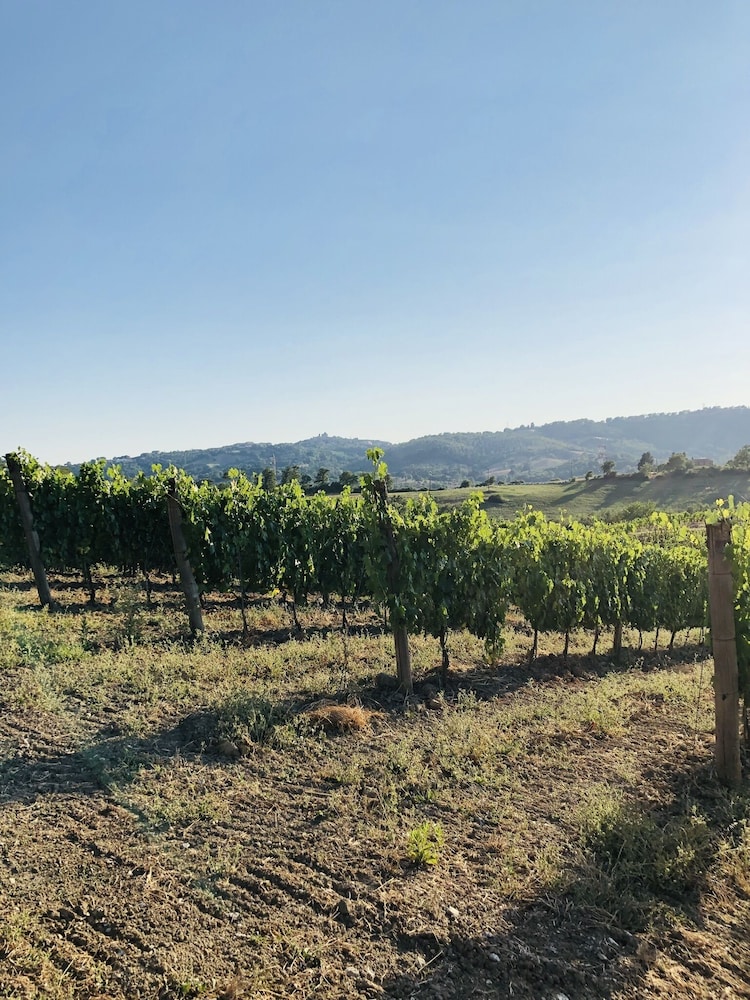 Agriturismo Poggio Del Drago 38/50