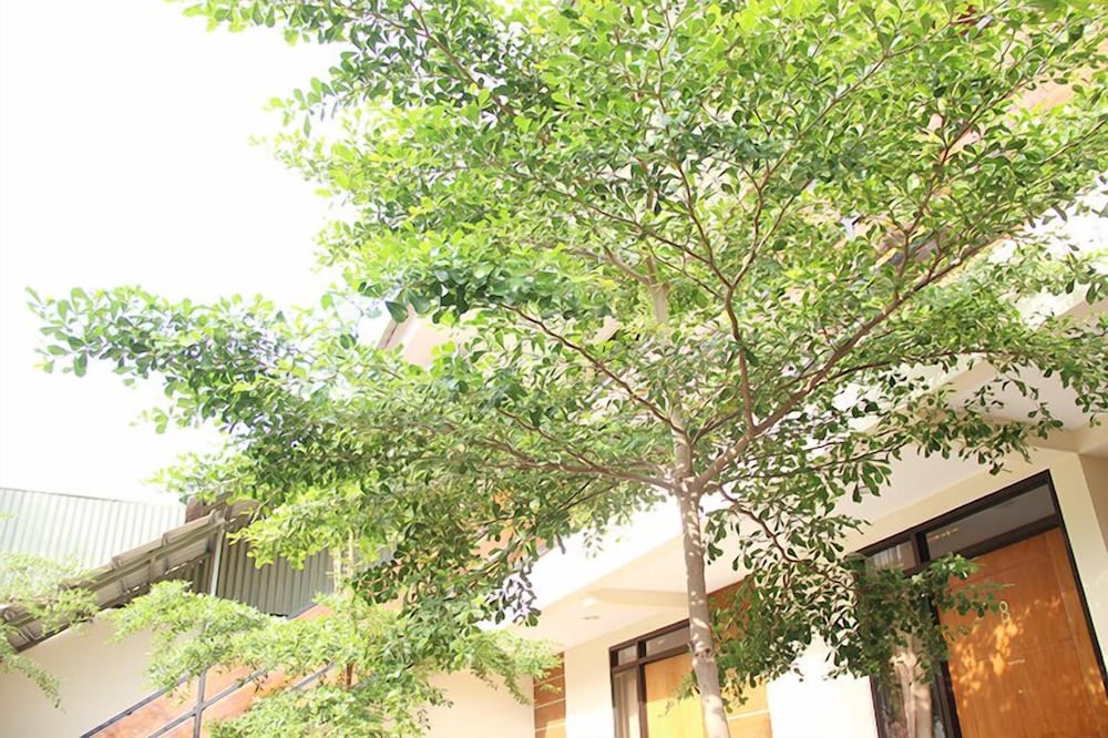 Bamboe Inn Homestay 7/36