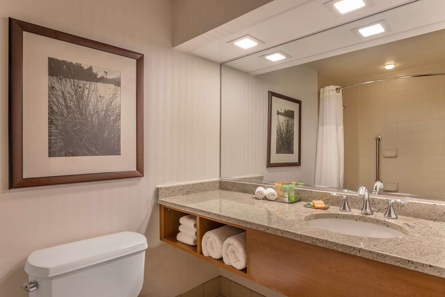Wyndham Garden Buffalo Downtown 20/20