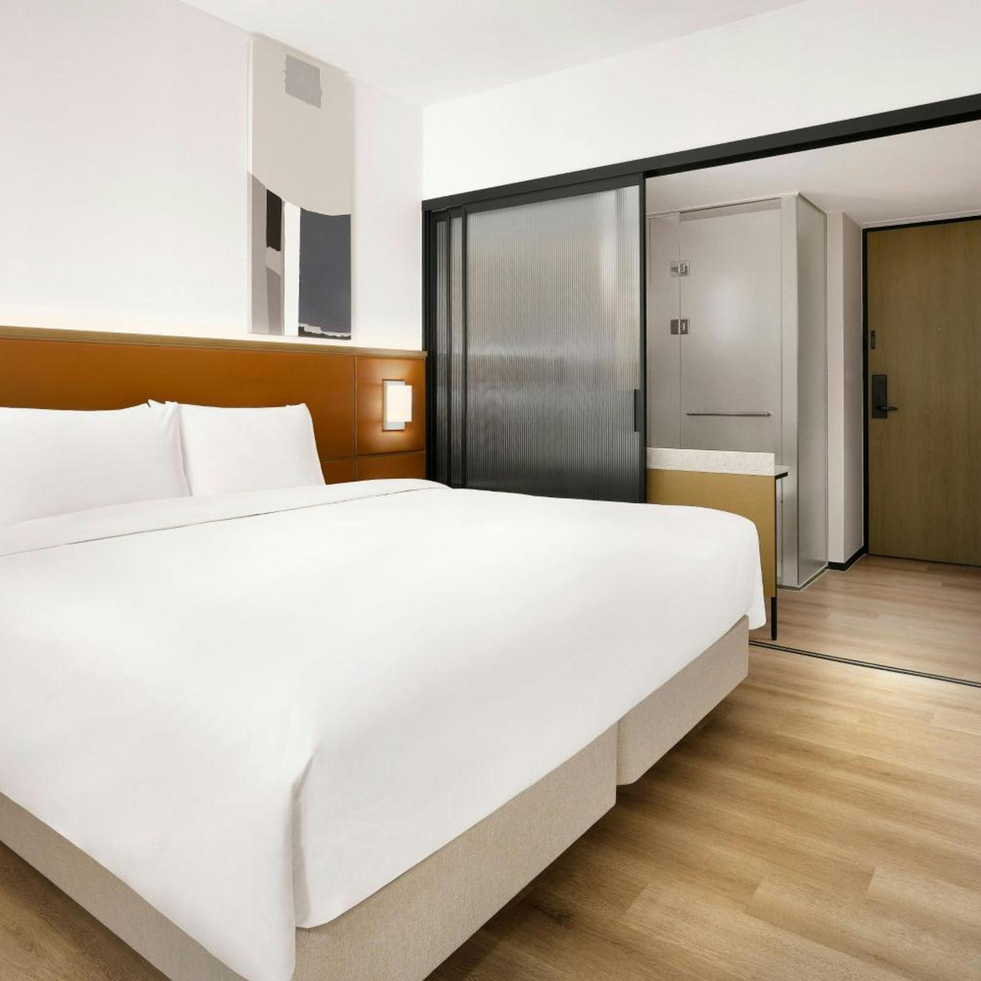 Room, King Bed, Large