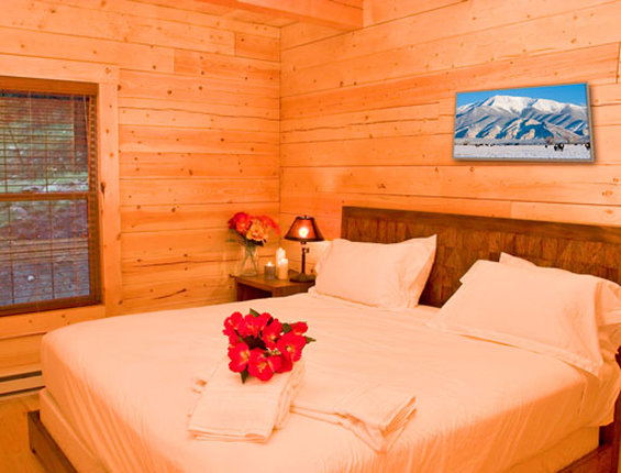 Mount Princeton Hot Springs Resort 1/10