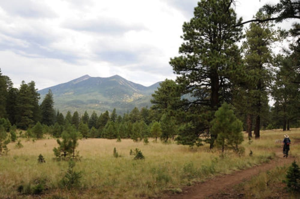 Elden Trails Bed And Breakfast 18/21