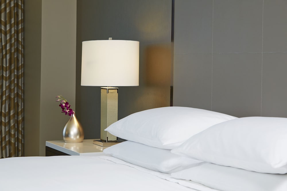 Hyatt Regency Atlanta Perimeter At Villa Christina 21/62