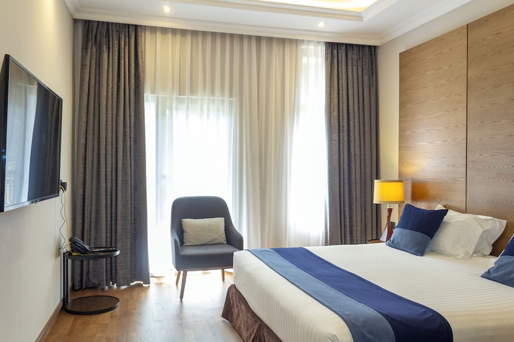 Alba Hotel Meru 13/50