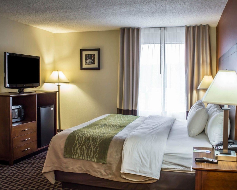 Comfort Inn Fayetteville I-95 12/33