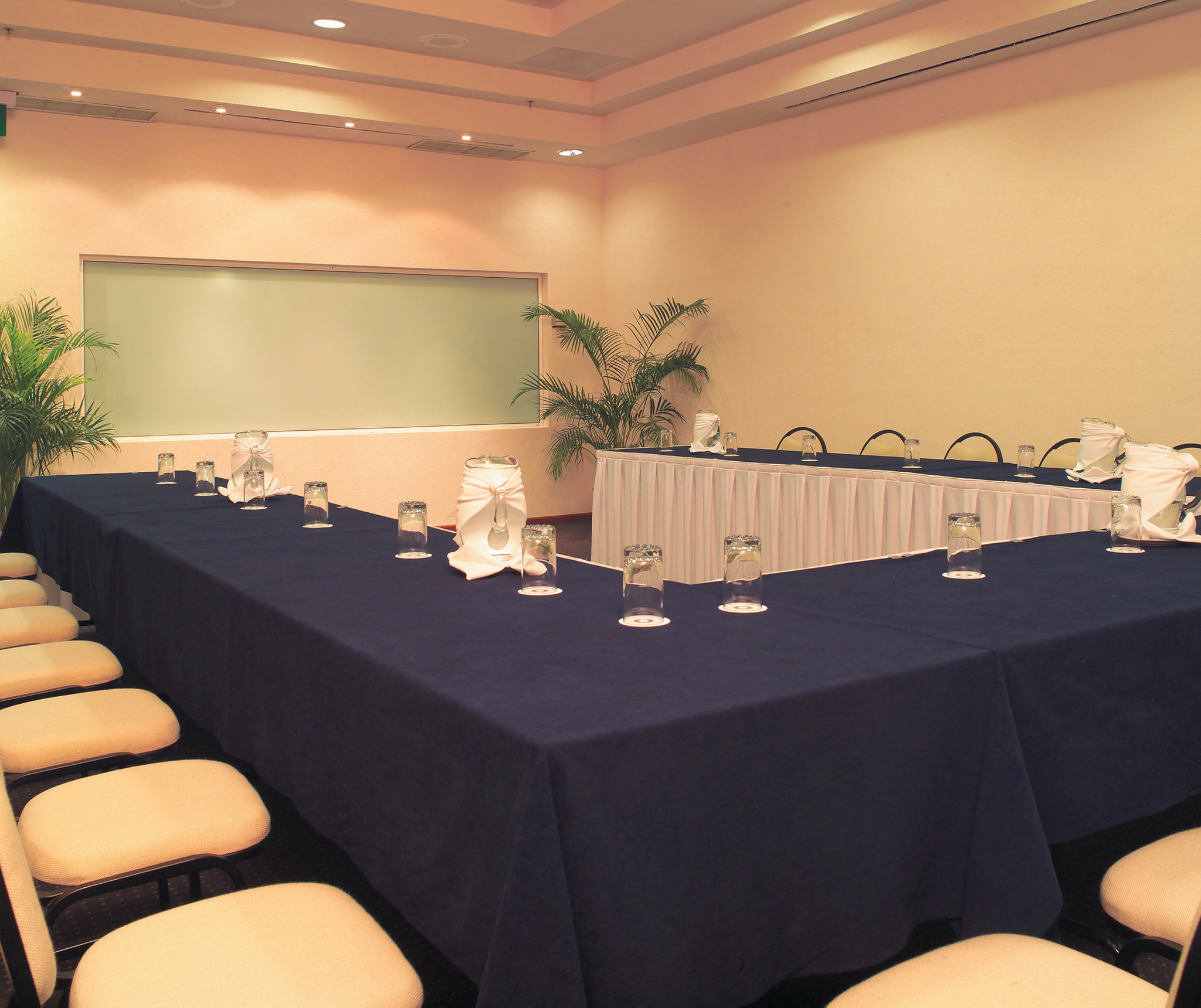 Fiesta Inn Tampico 27/45