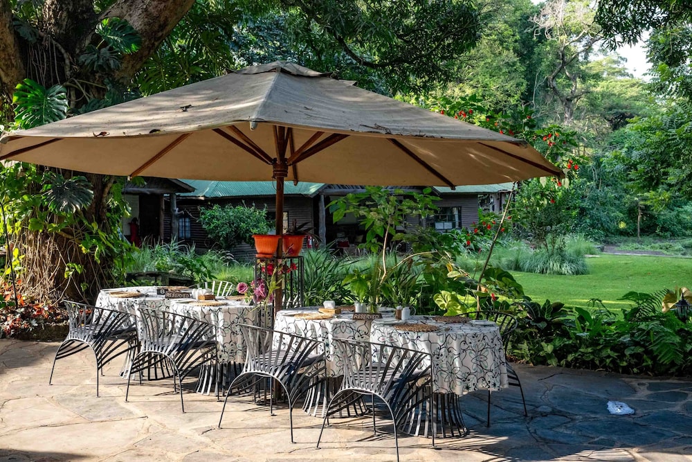 Mount Meru Game Lodge 36/50