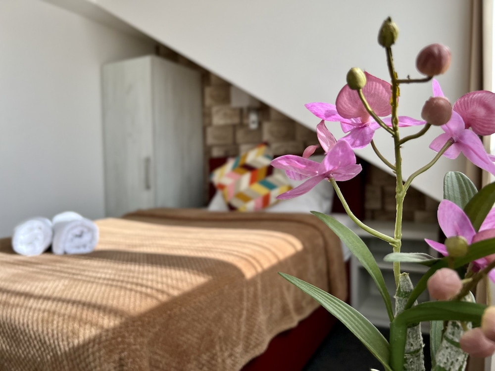 Hotel Shato 9/49