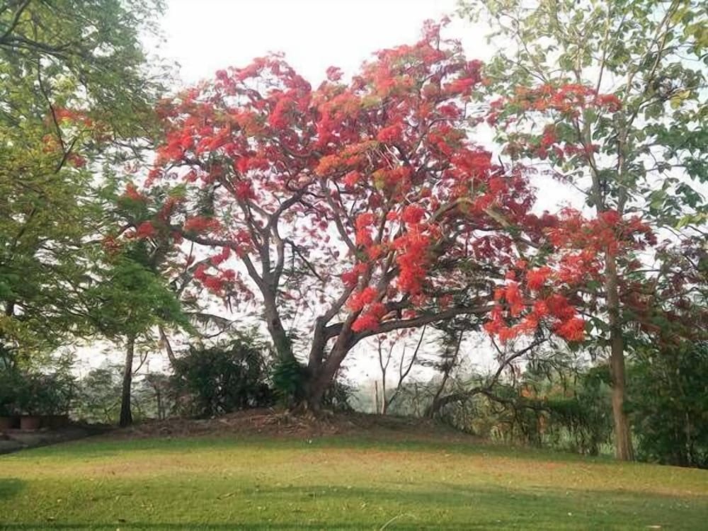 Fuengfah Riverside Garden Resort Chiang Mai 41/48