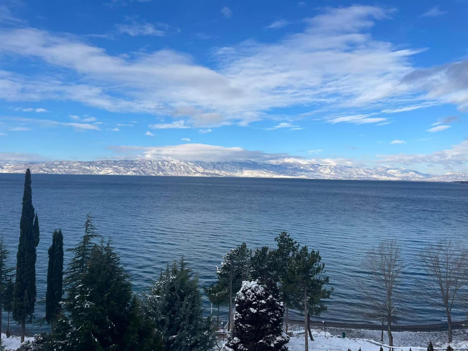 Inex Olgica Hotel & Spa Ohrid 45/50