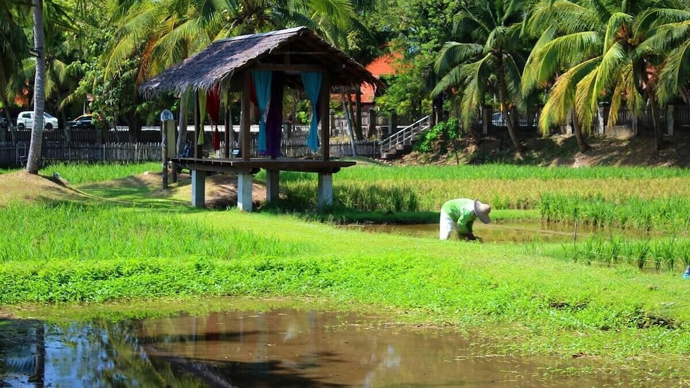 Chenang Inn 49/61