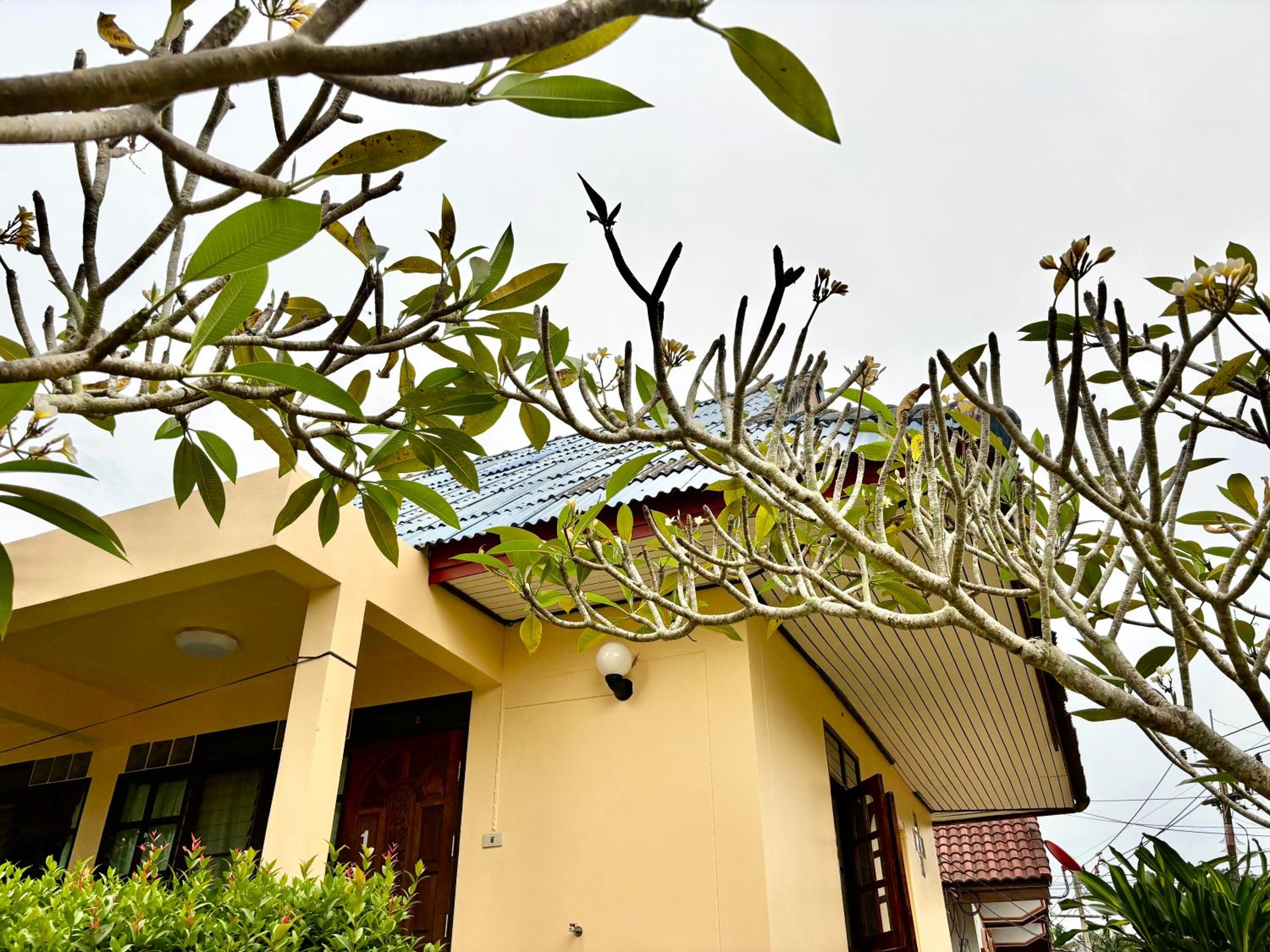Sea Sun Bungalows酒店(Sea Sun Bungalows) 图片5
