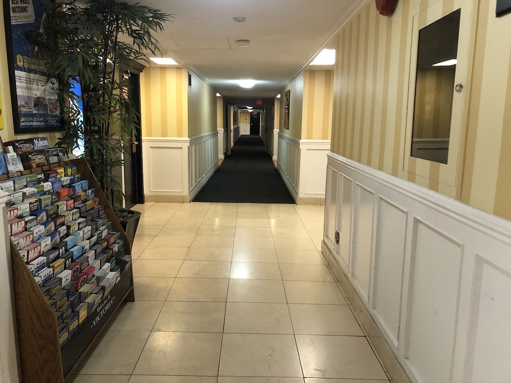 Island Travel Inn Hotel 5/55