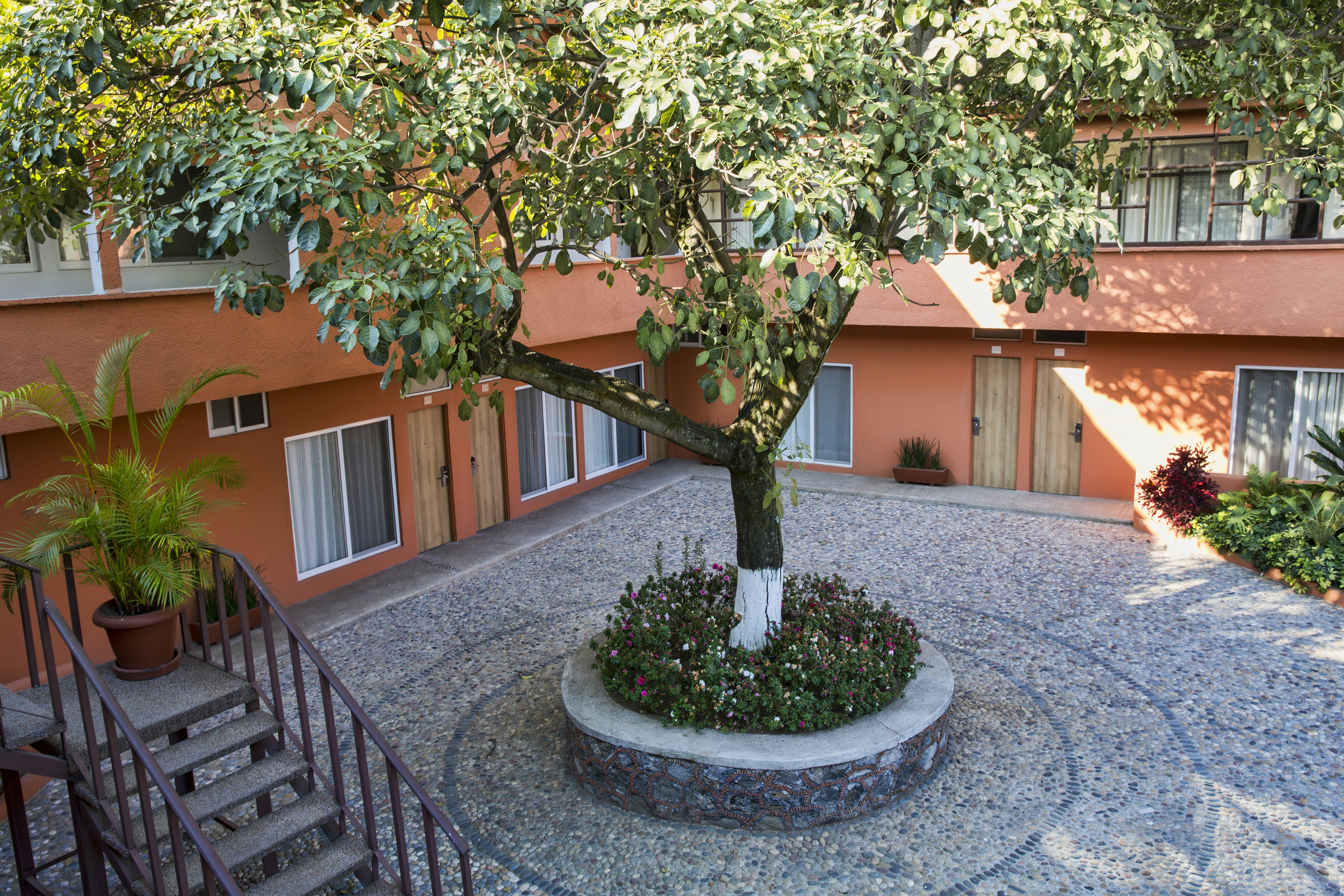 Gamma Cuernavaca Puerta Paraiso 45/50