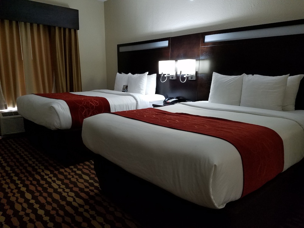 Comfort Suites Northside Hospital Gwinnett 14/47