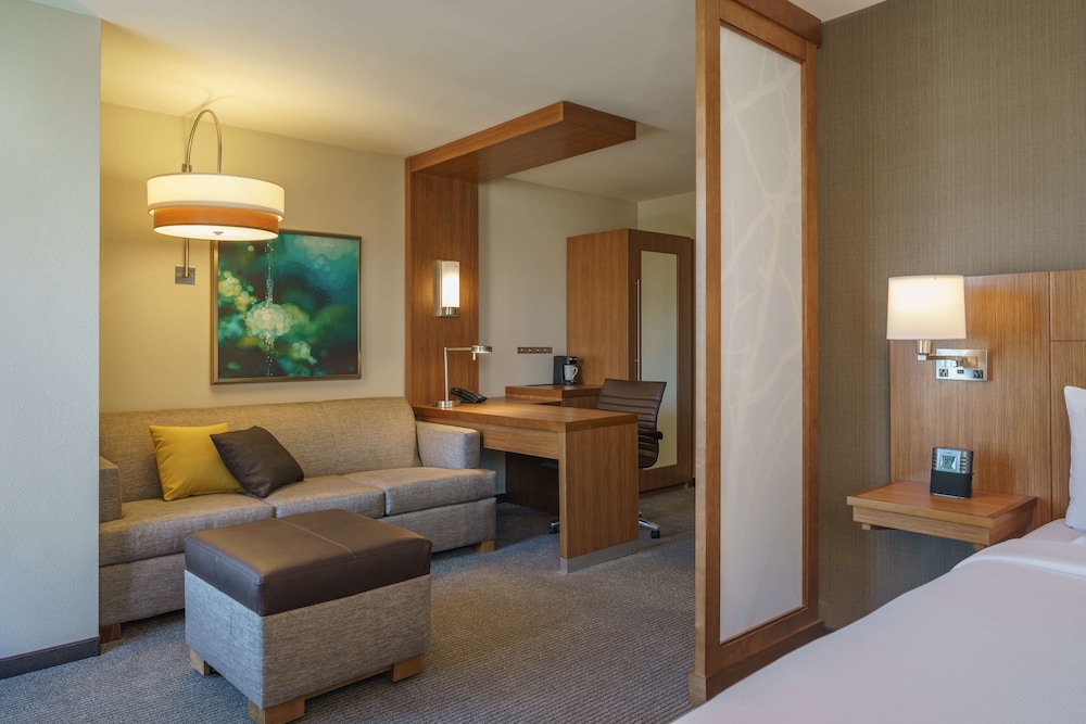 Hyatt Place Houston Galleria 45/61