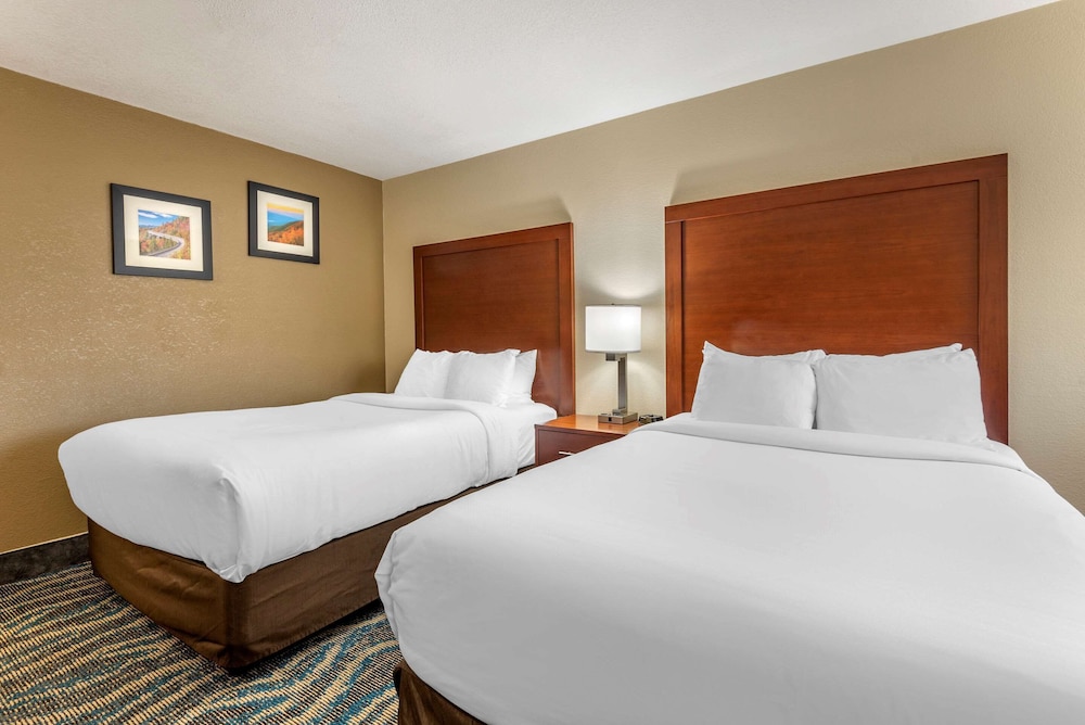 Comfort Inn Asheville East-Blue Ridge Pkwy Access 14/39