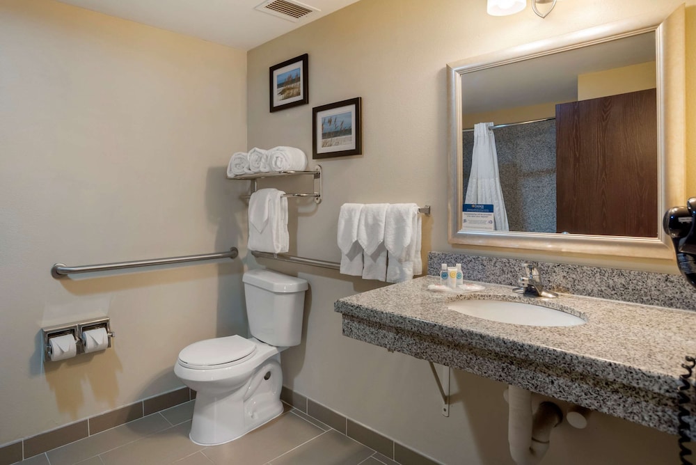 Suite, King Bed, Comfort Suites Foley - North Gulf Shores 4/4