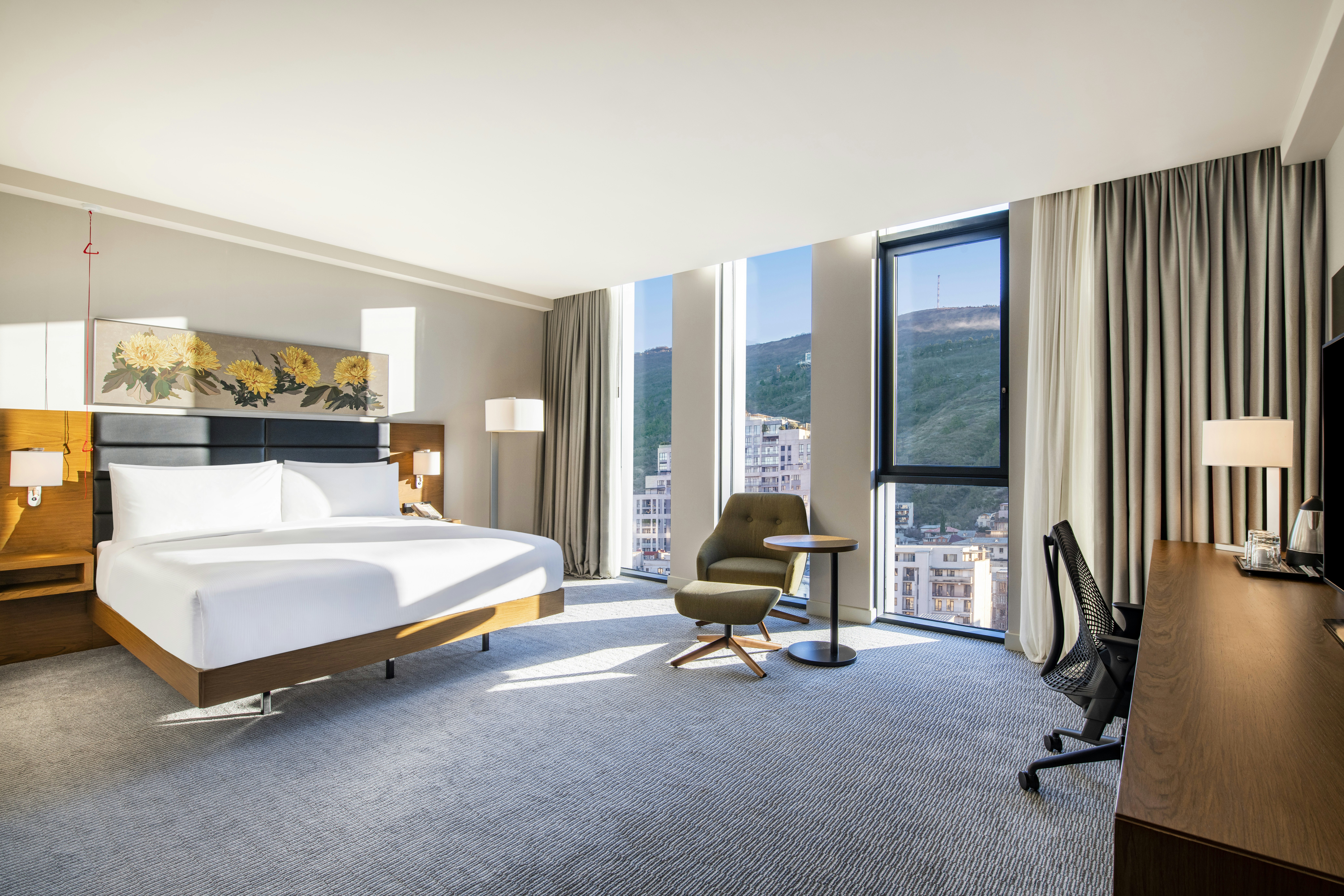 ROOM, KING BED, ACCESSIBLE