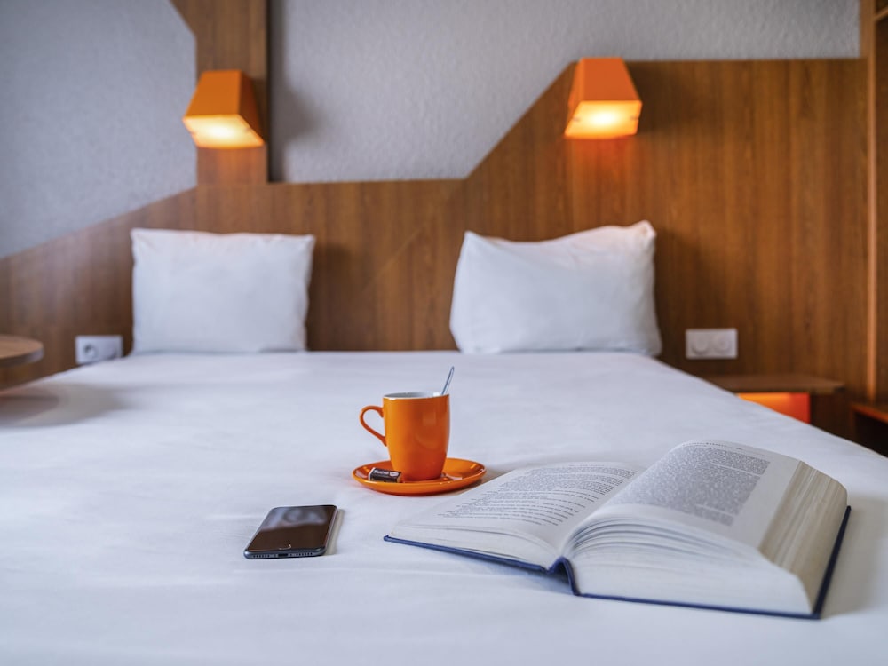 Ibis Styles Gien 9/52
