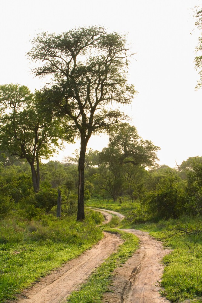 Buffelshoek Tented Camp 22/35