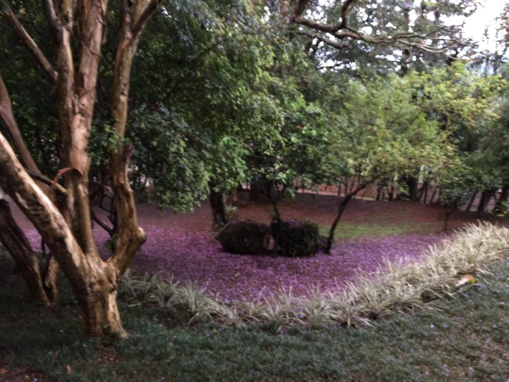 Pousada Villa Dei Fiori 16/33