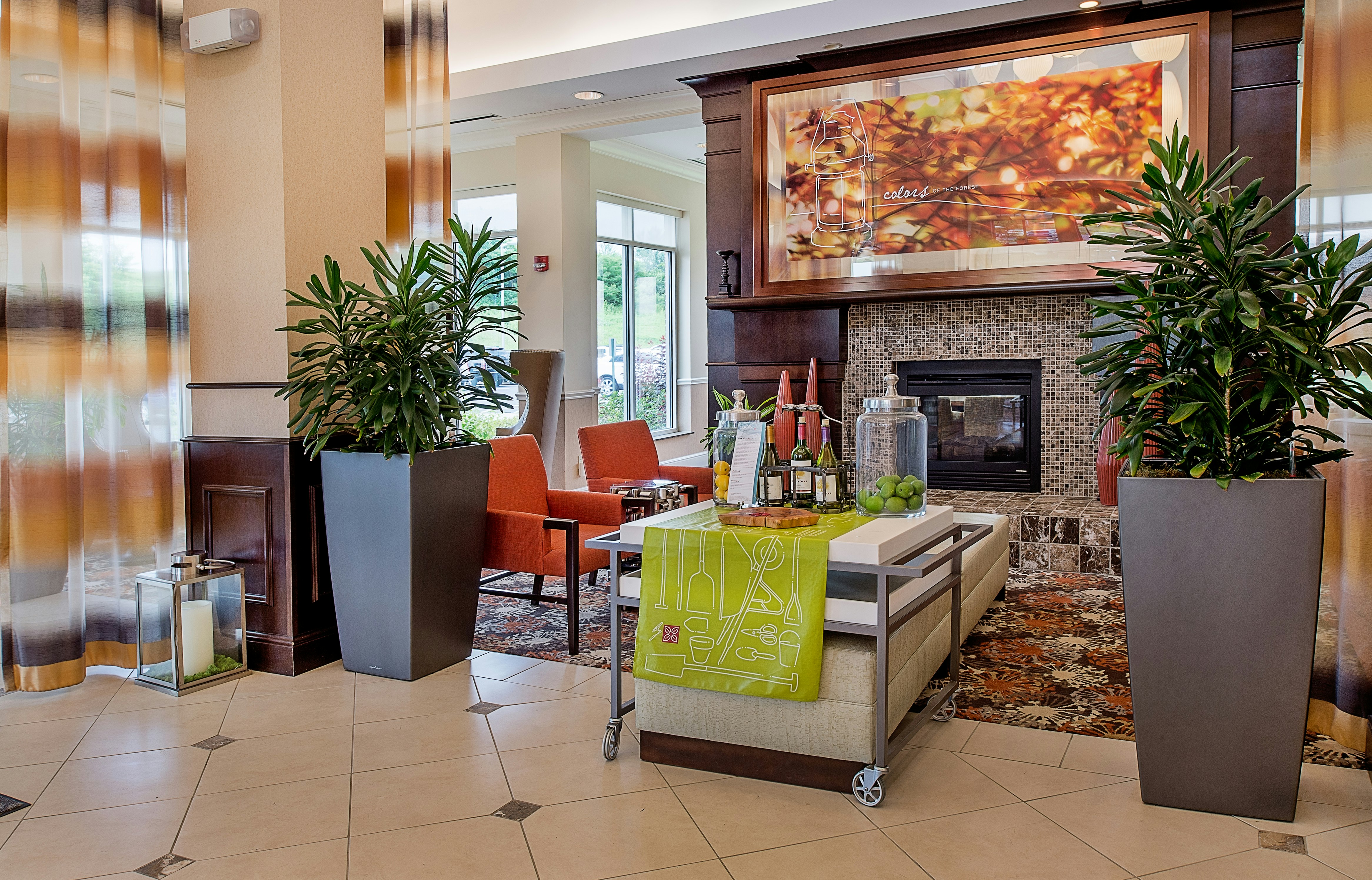 Hilton Garden Inn Saint Louis Airport 19/30