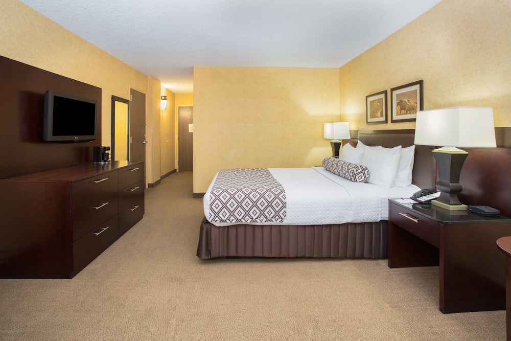 Crowne Plaza Denver Airport Convention Ctr, an Ihg Hotel 18/41