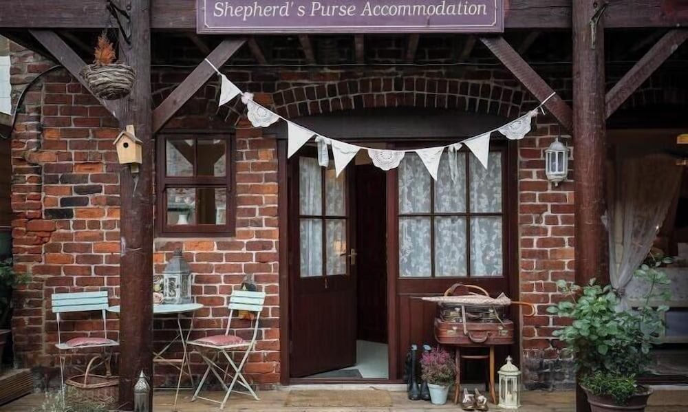 The Shepherd's Purse 4/35