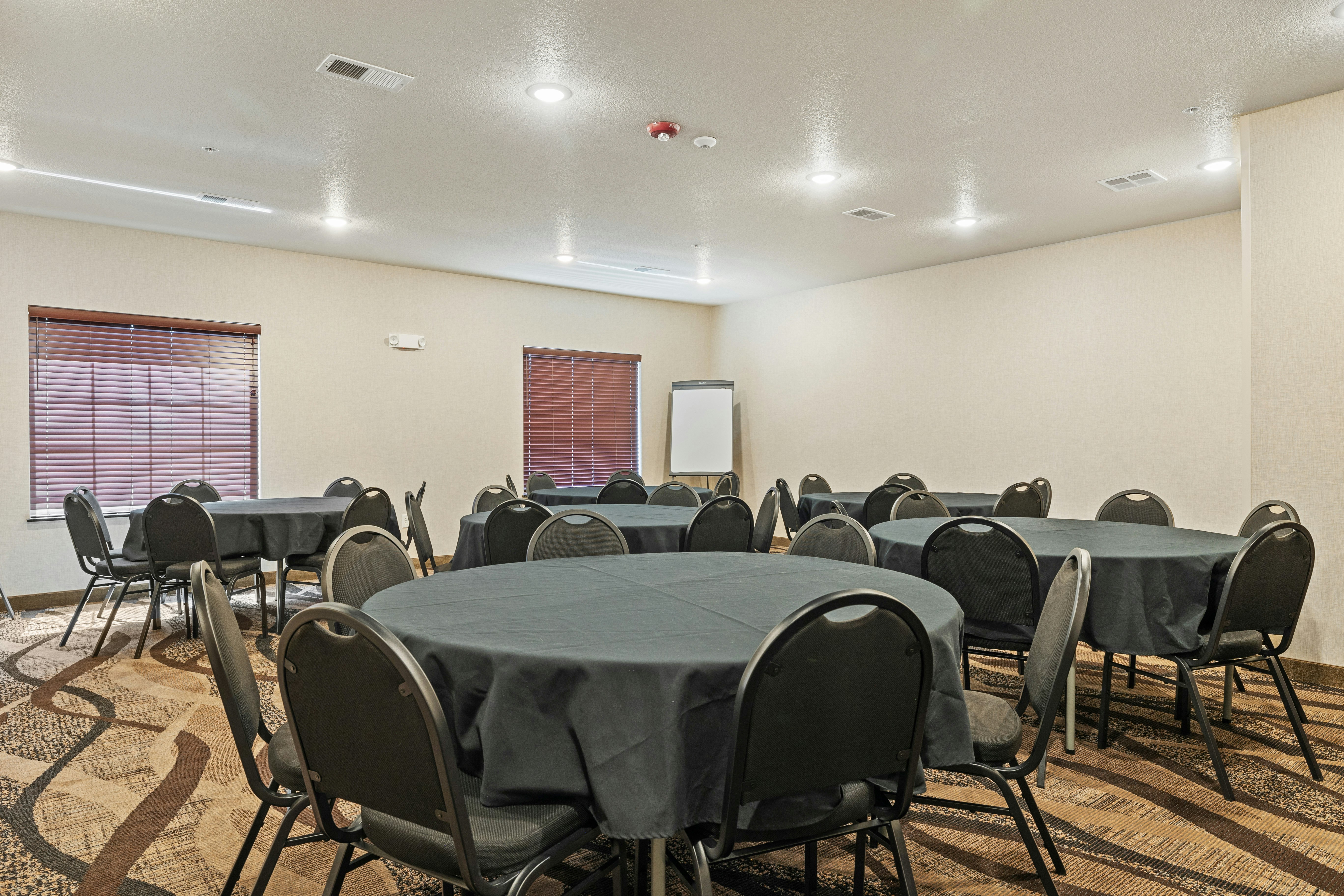 Cobblestone Hotel & Suites - Alpine 17/20
