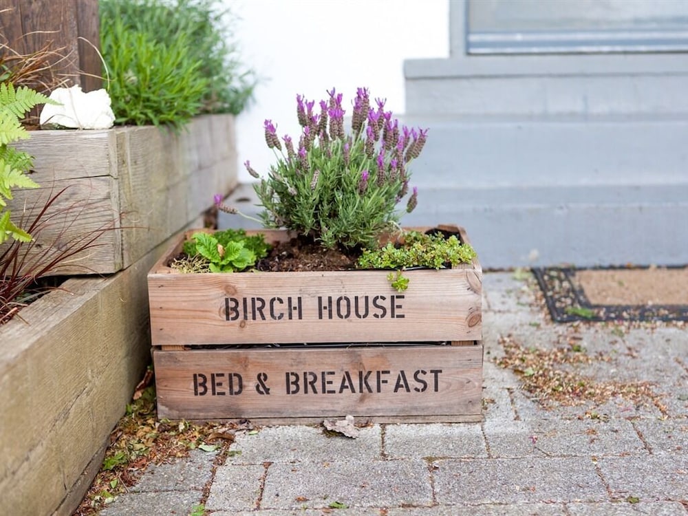 Birch House B B 3/33
