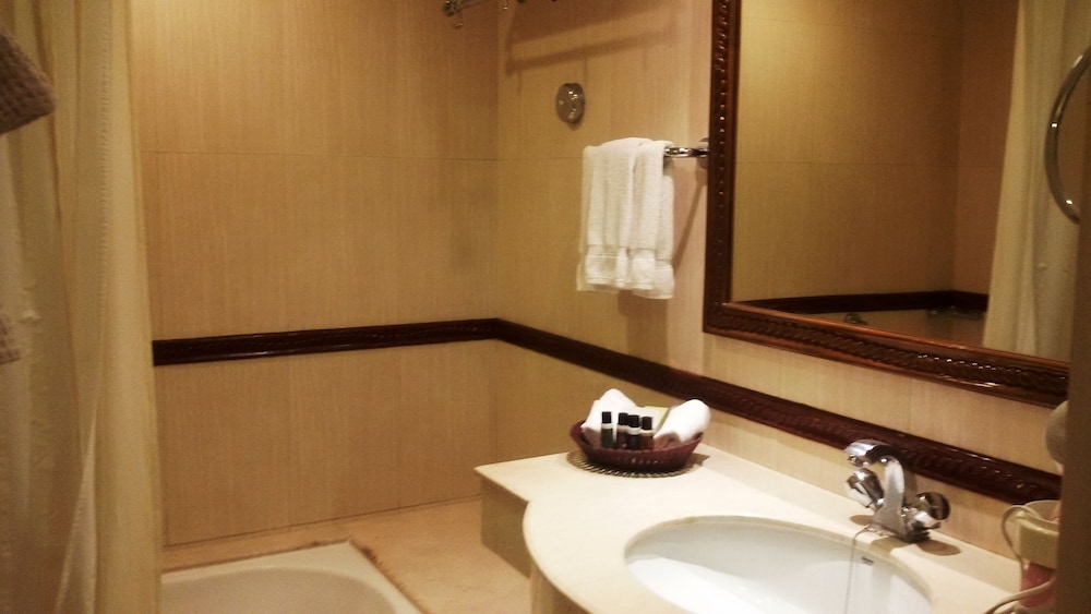 Park Plaza Chennai Omr 28/72