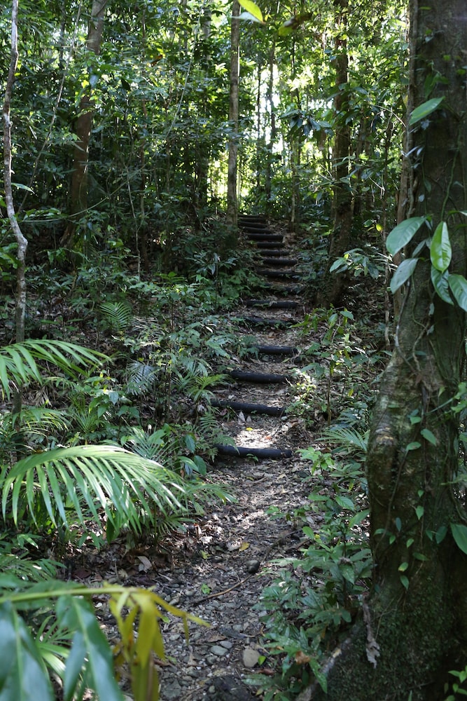 Heritage Lodge In the Daintree 46/53