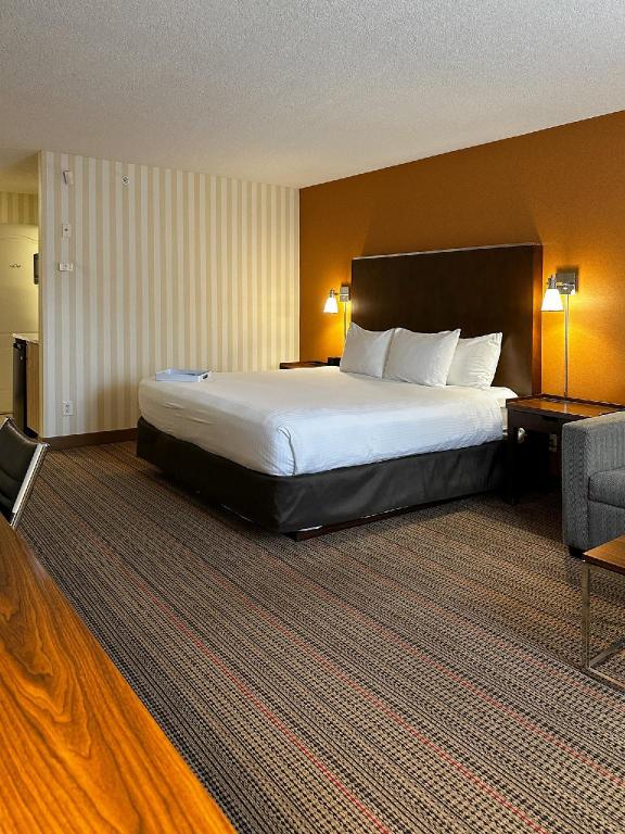 Upgrade, Mini, King Bed, Kitchenette