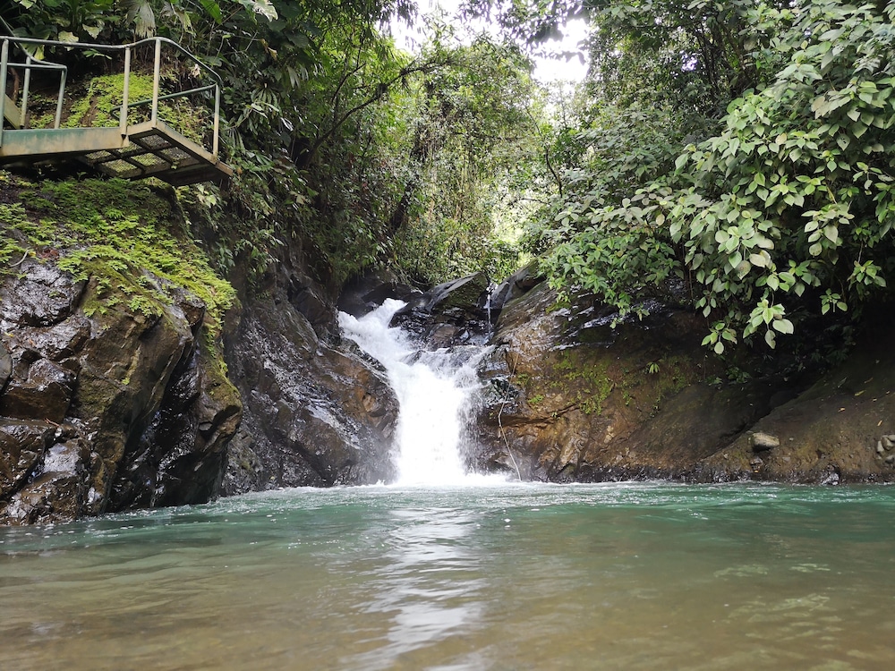 Santa Juana Lodge Nature Reserve 44/50