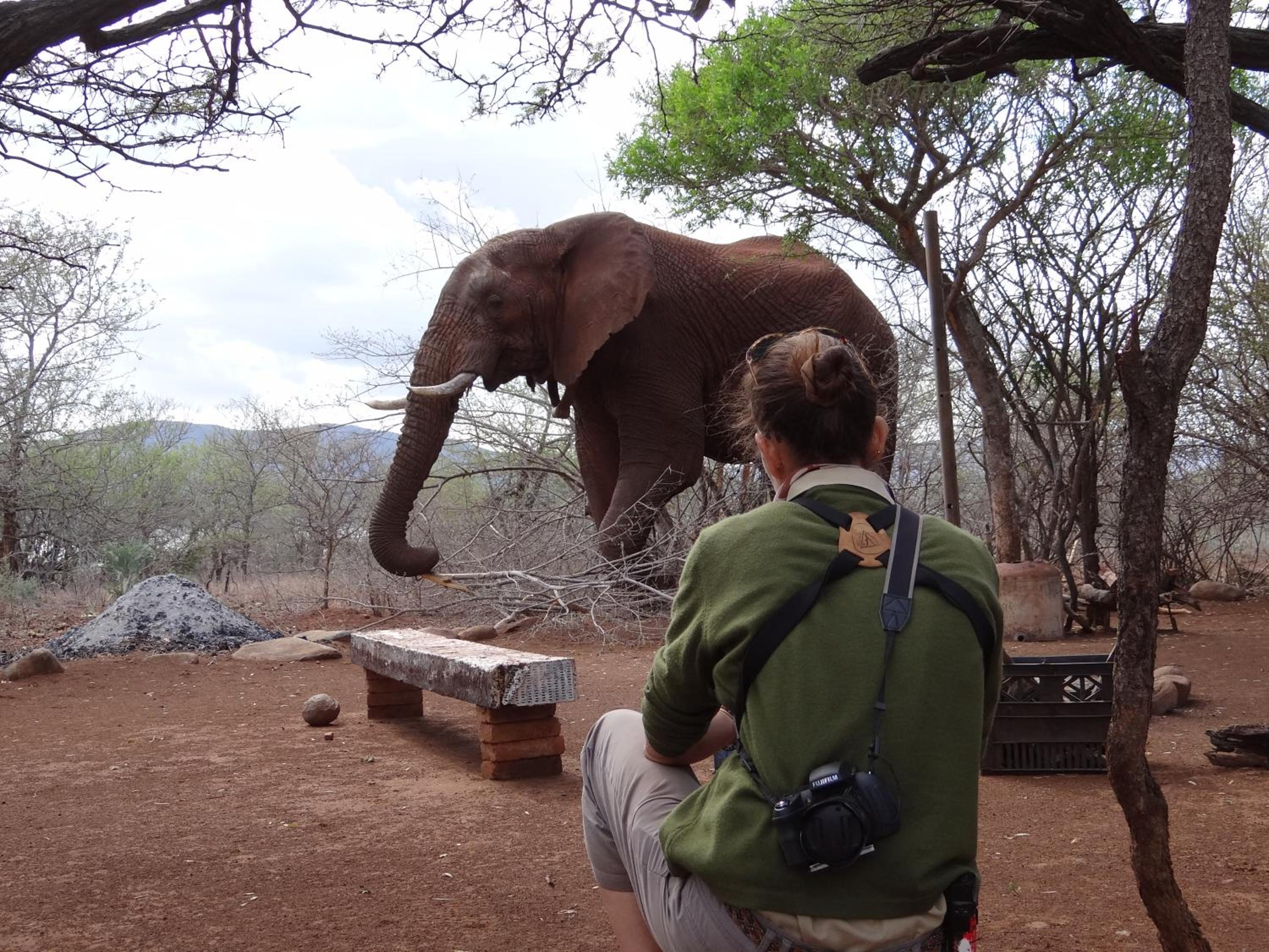 White Elephant Safari Lodge 3/21