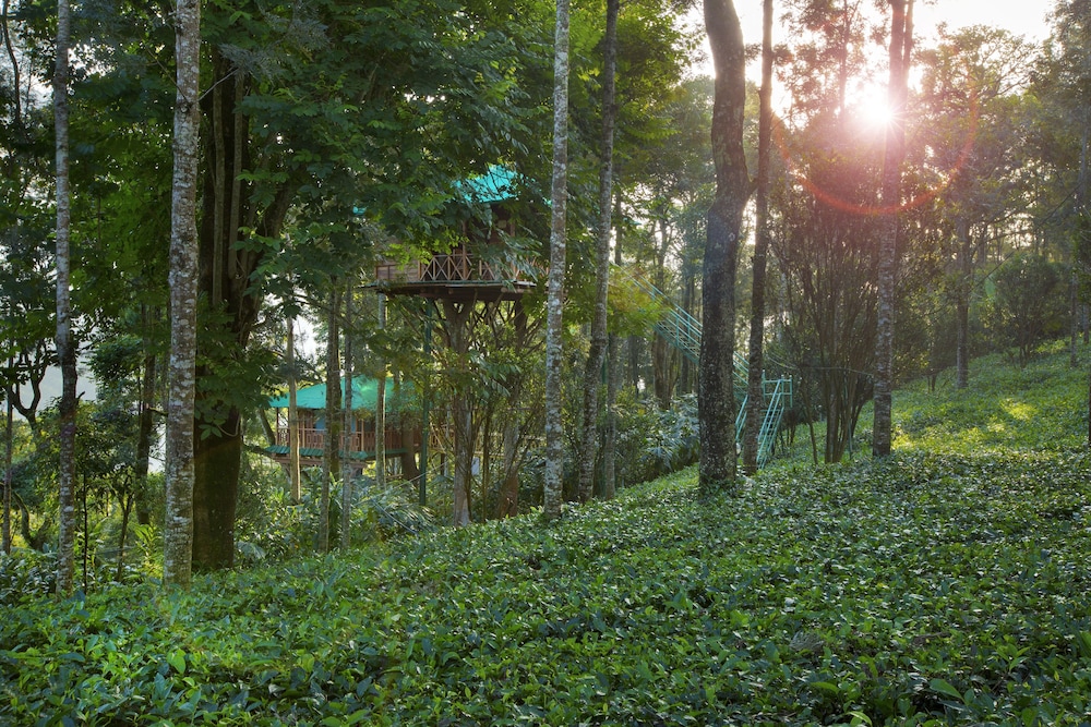 Dream Catcher Plantation Resort 36/50