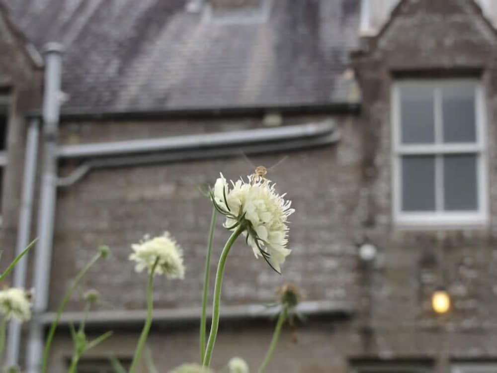 Whitchester Christian Guest House 1/50