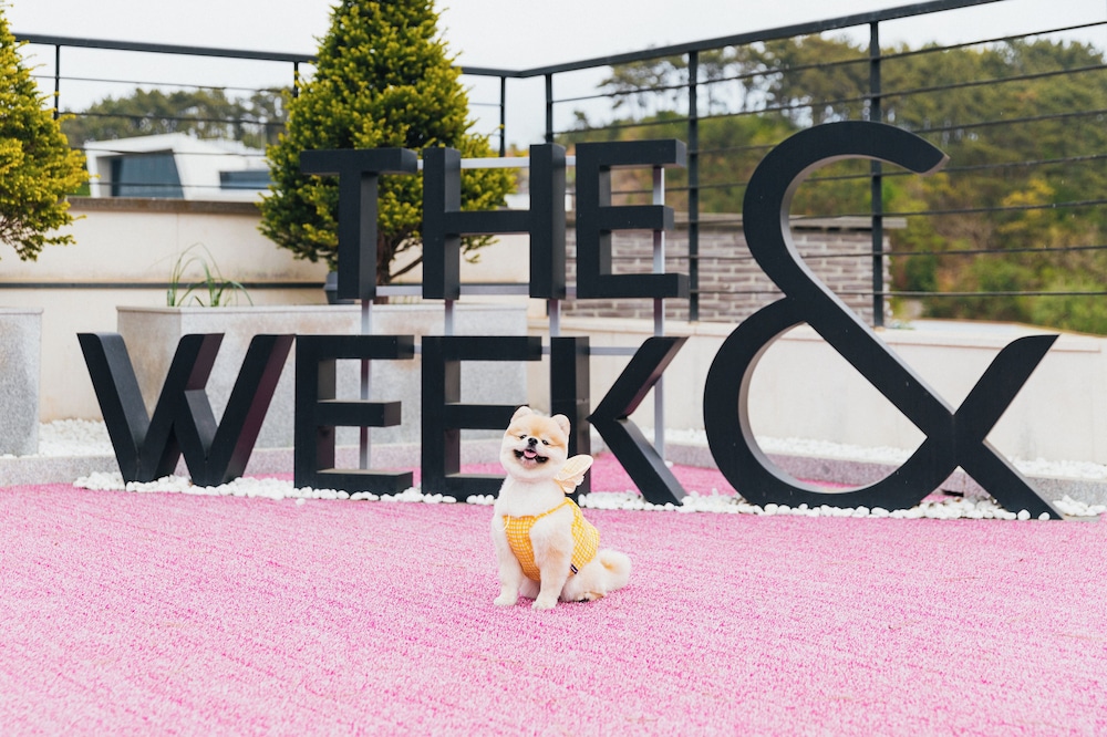 The Weekand Resort 49/56