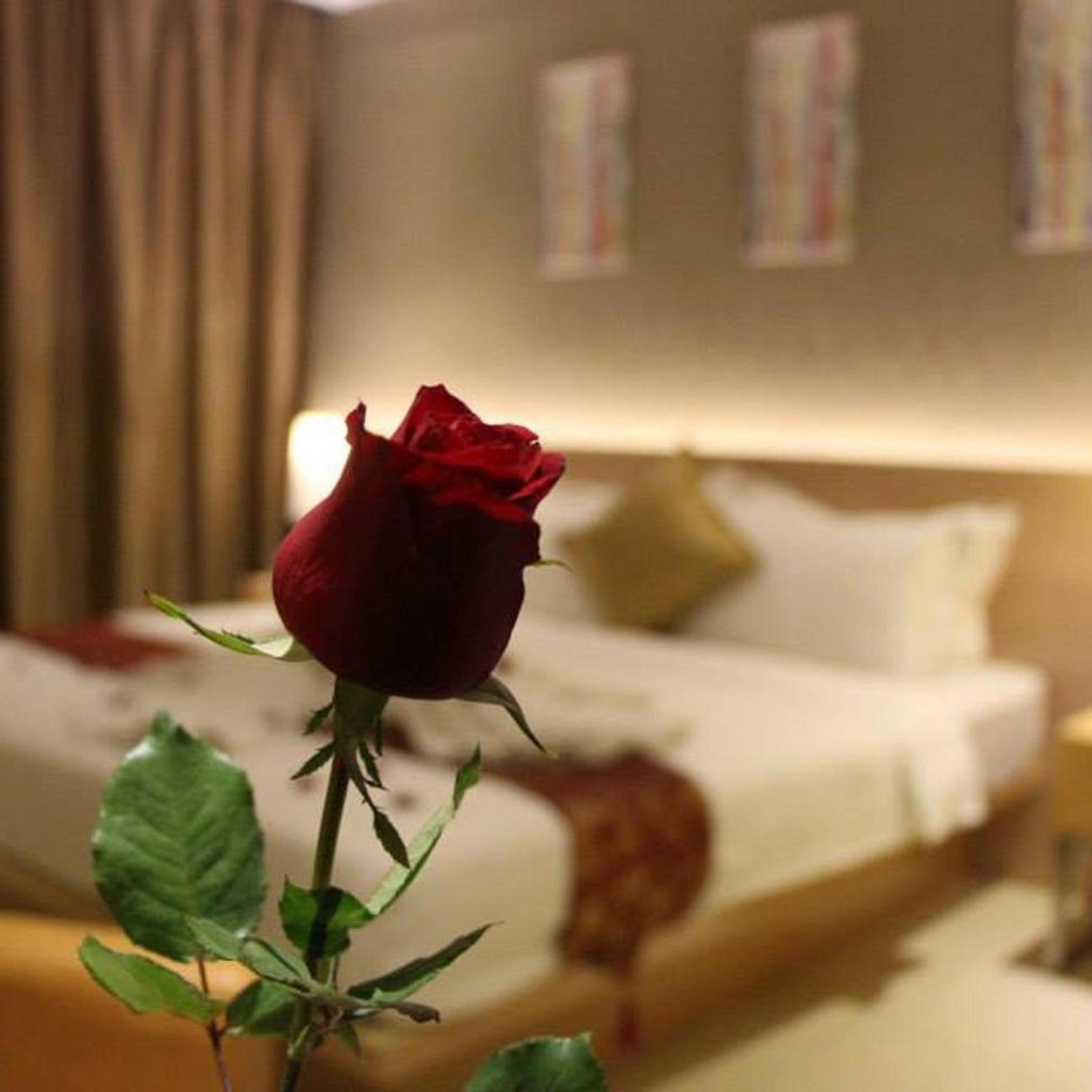 Dela Chambre Hotel 23/51