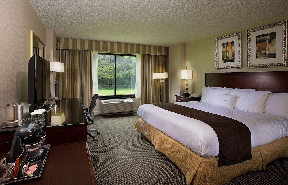ROOM, KING BED, ACCESSIBLE