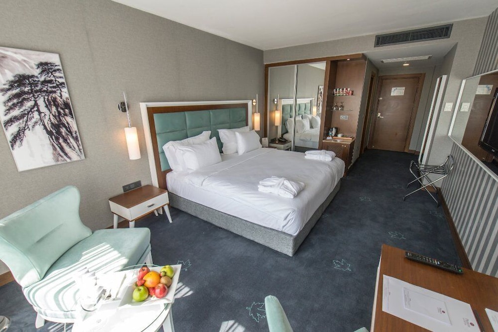 غرفة ديلوكس، Premier Inn Sakarya 2/4
