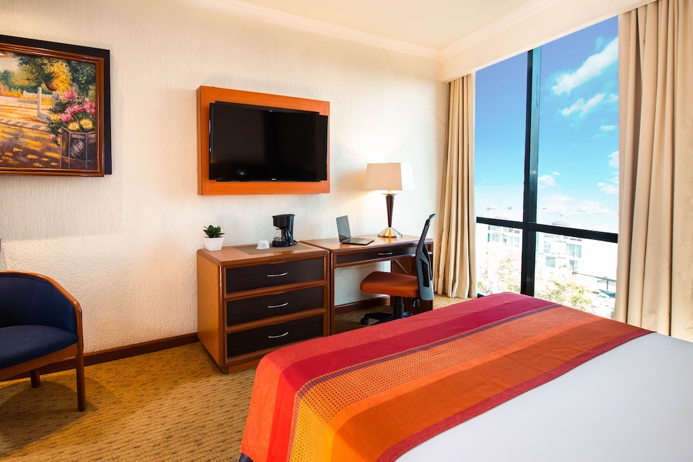 EXECUTIVE, DOUBLE BED