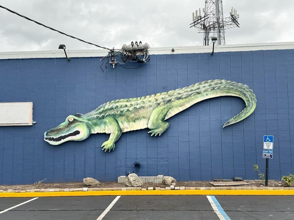 Gator Lodge 4/30