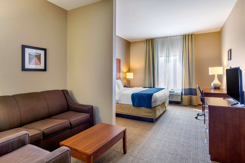 Comfort Inn Comfort Inn South Chesterfield - Colonial Heights 23/37
