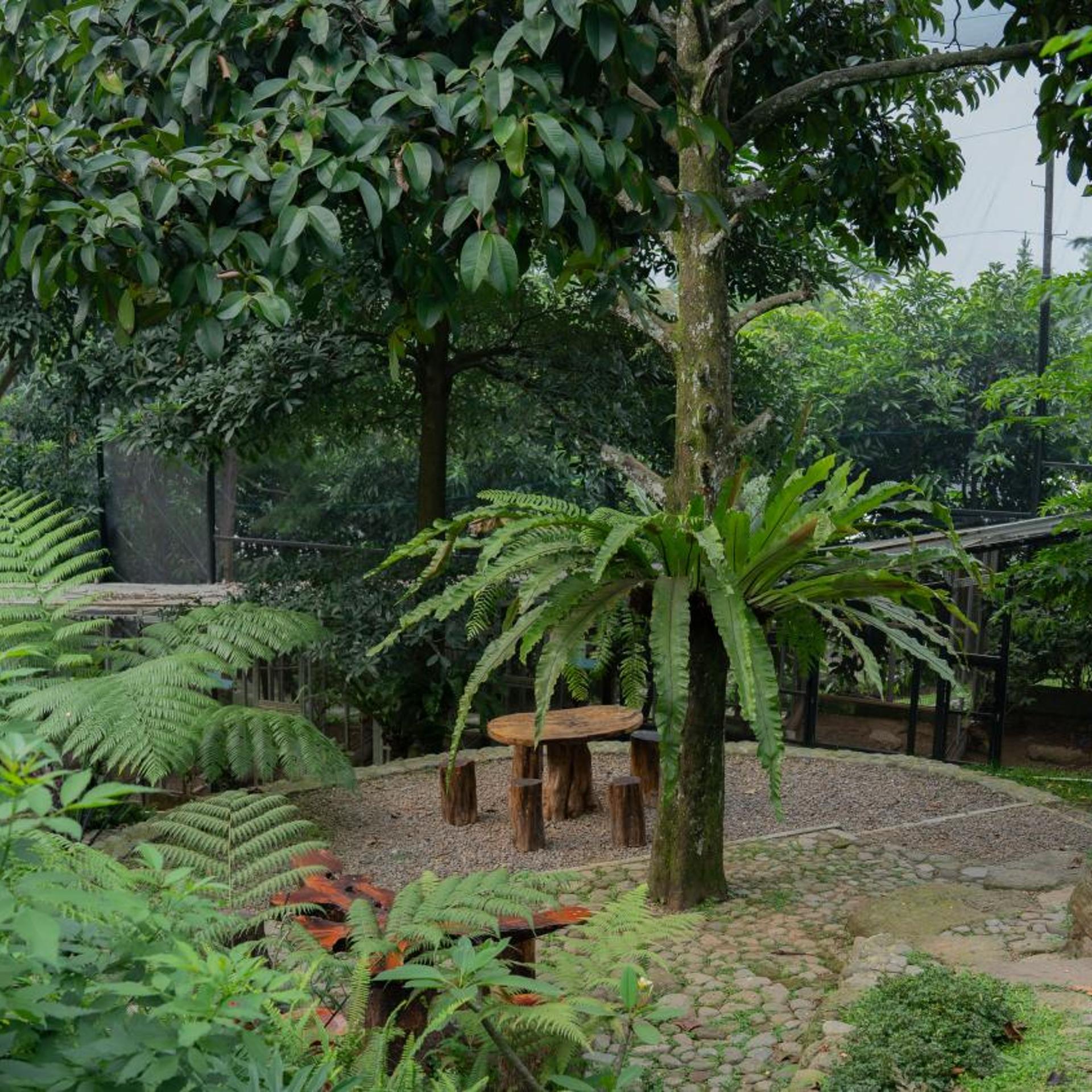 Leuweung Geledegan Ecolodge 49/51